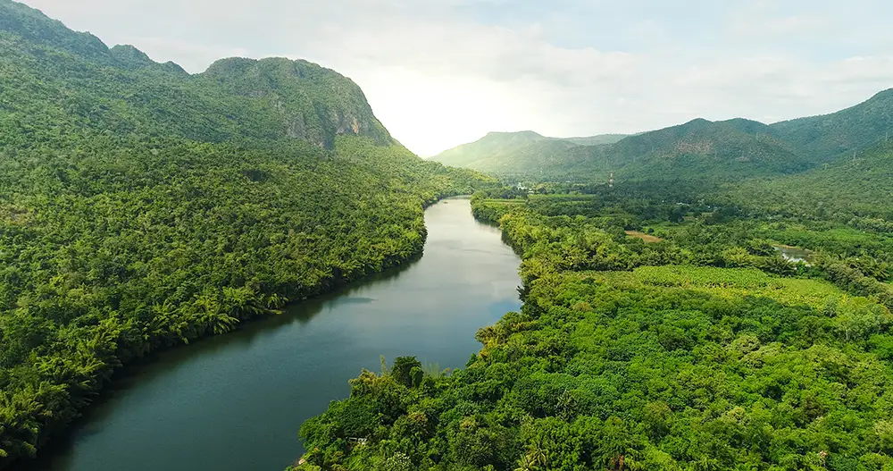 Green landscape representing sustainable reporting